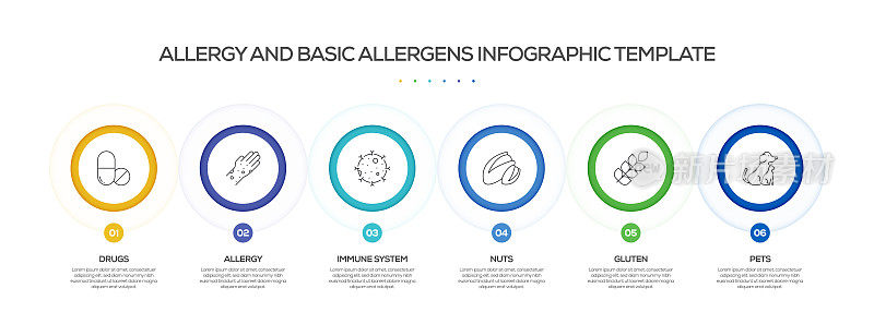 过敏和基本过敏原相关过程信息图表模板。过程时间图。带有线性图标的工作流布局