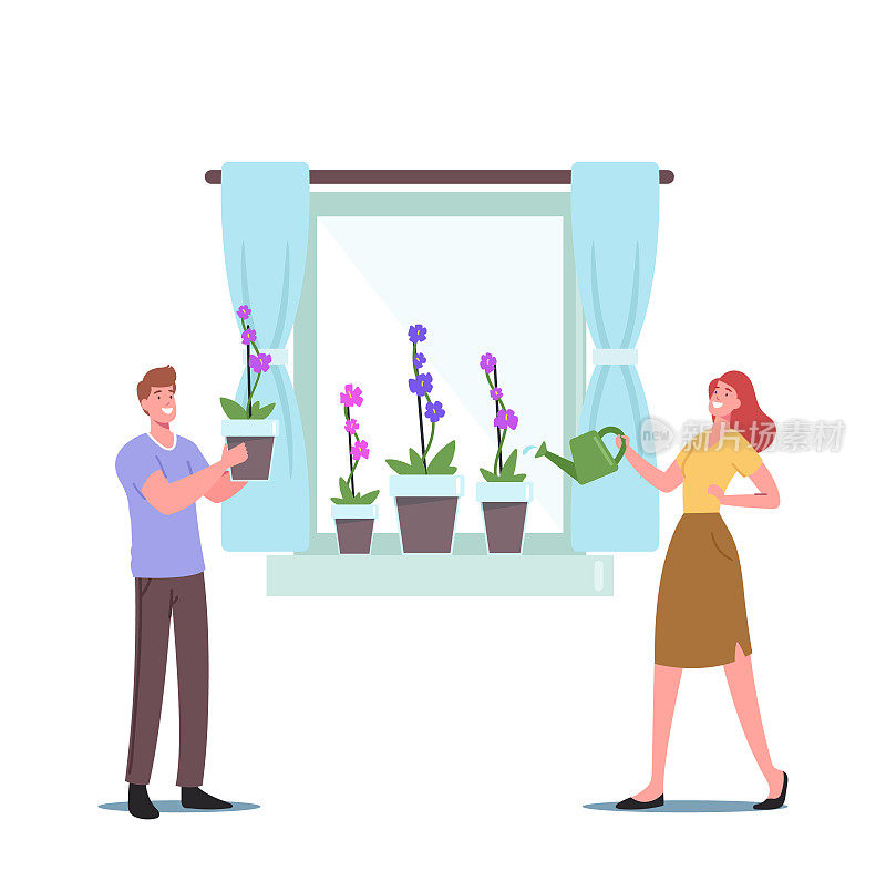男人和女人的性格喷洒和浇灌兰花蝴蝶兰花在窗台上享受园艺爱好