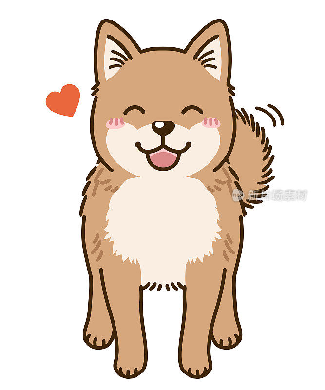 可爱的北海道犬(棕色)
