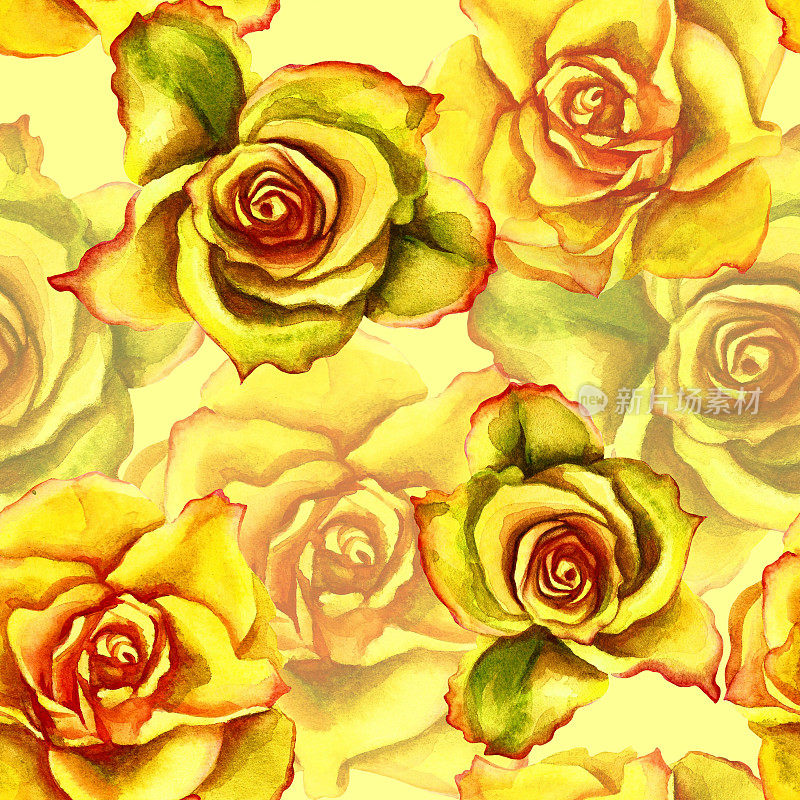 玫瑰花的图案。水彩无缝模式。