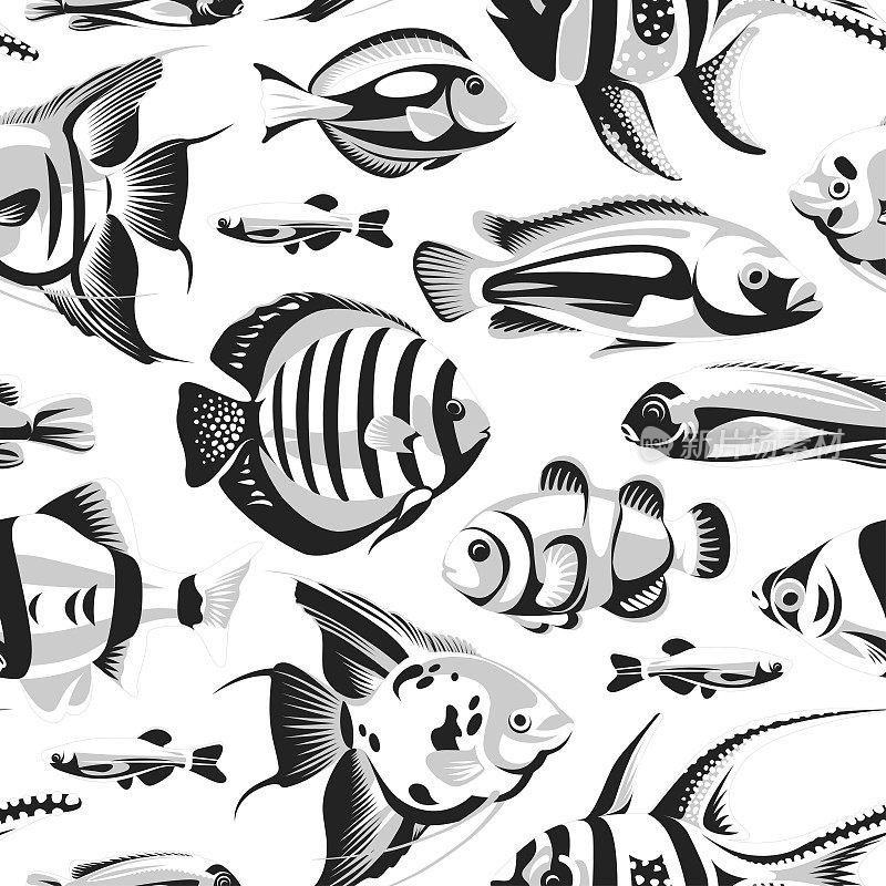 无缝图案与黑色和白色的鱼孤立在白色的背景。