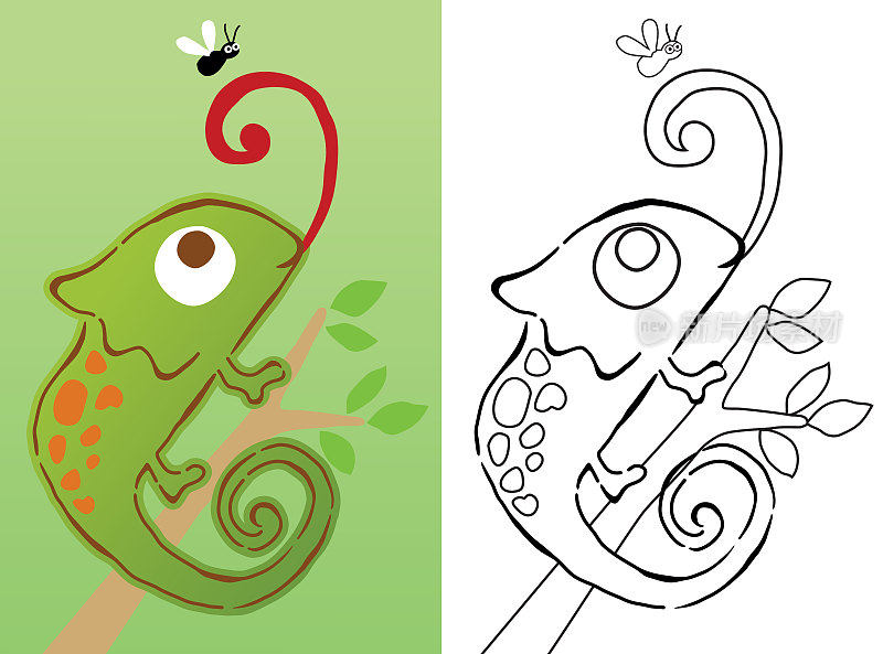 矢量卡通的变色龙在树枝伸出舌头追捕苍蝇，着色书或页
