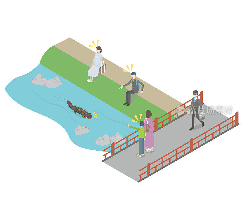 京都卡莫河中，一只大鲵和休息的人们一起游泳
