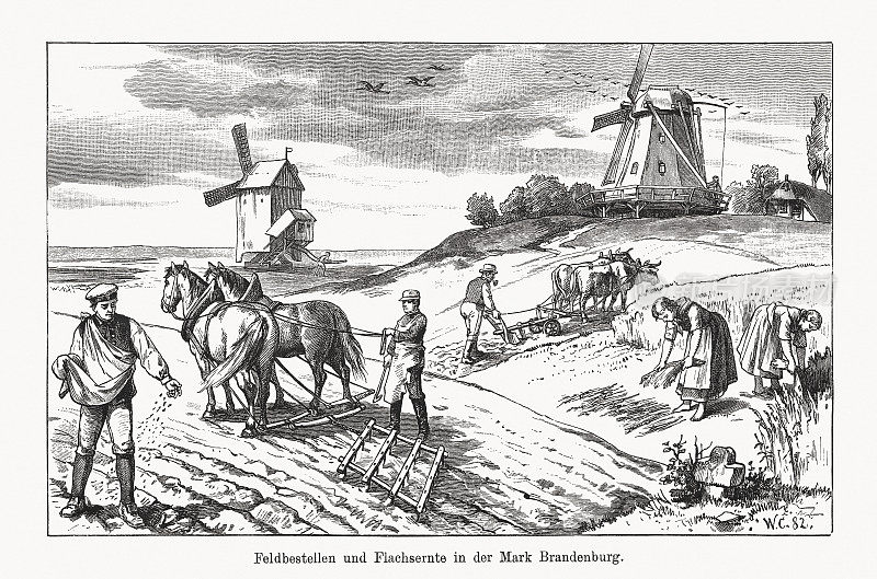 耕种田地和收获亚麻，木刻，1894年出版