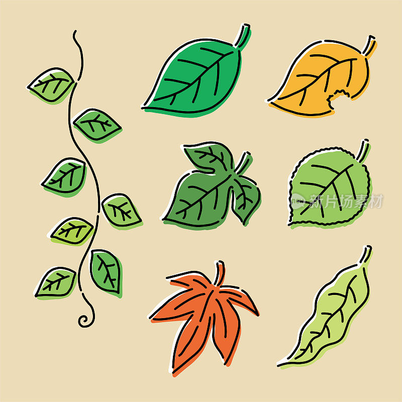 手绘矢量插图的各种树叶