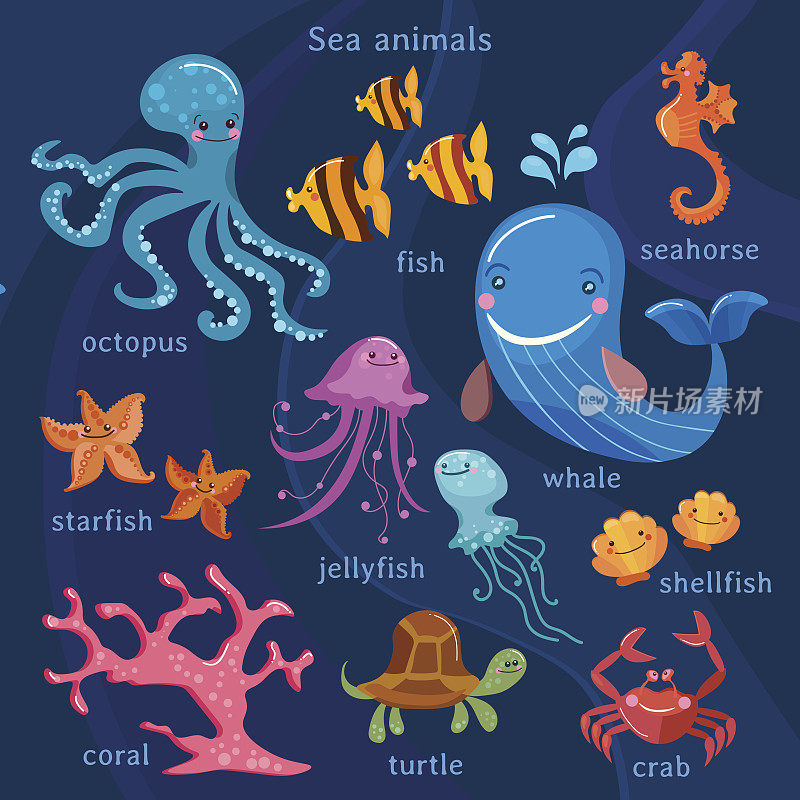 海洋动物收集章鱼、鱼、鲸鱼、水母
