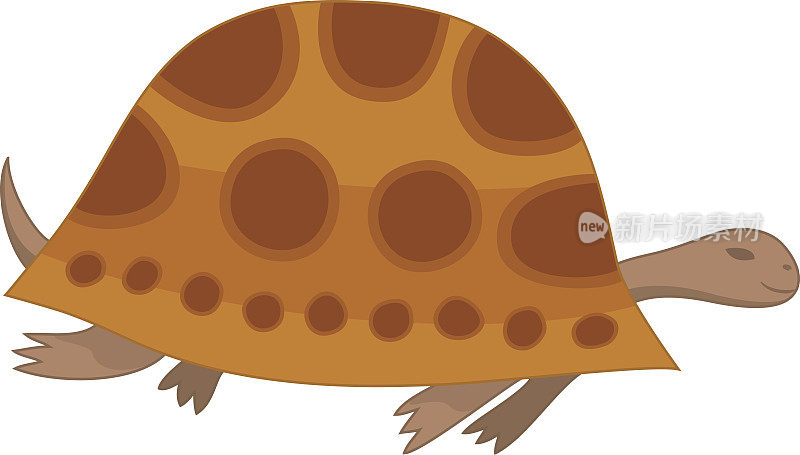 向量插图的棕色海龟