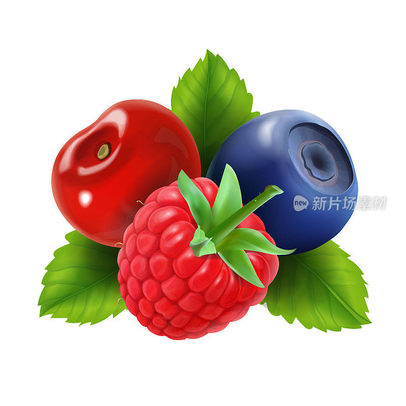 成熟的浆果。树莓、蓝莓和樱桃的标志。矢量图