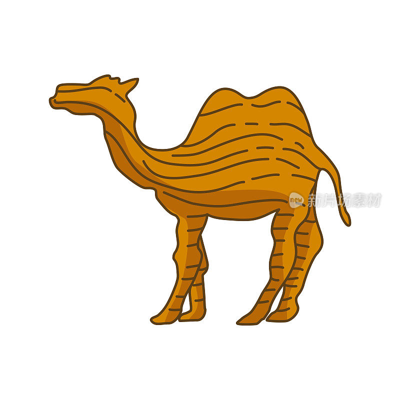 骆驼插图动物矢量设计