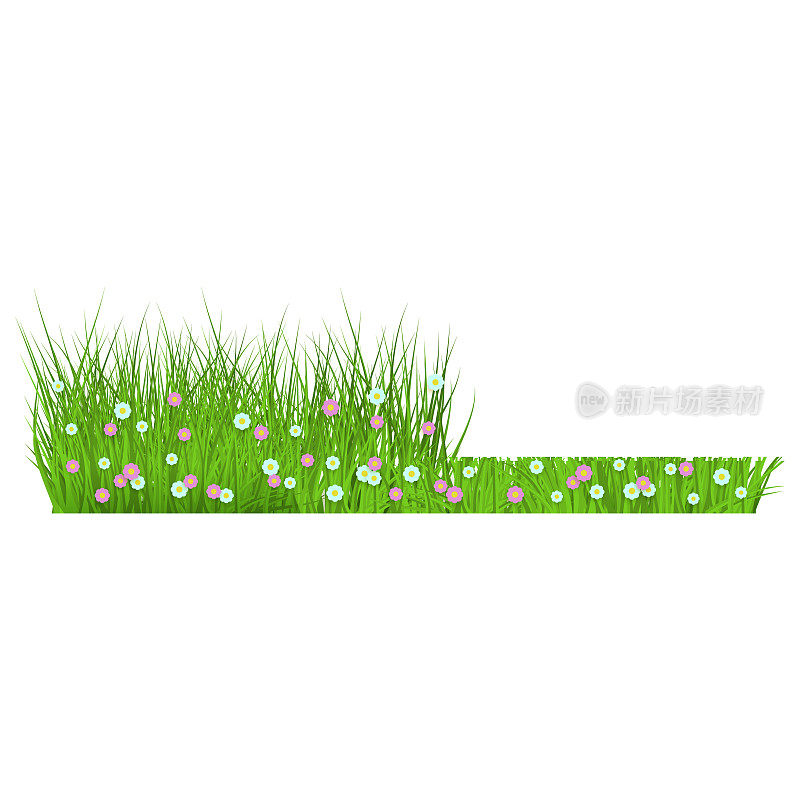 春花绿草和草坪边修剪前后。