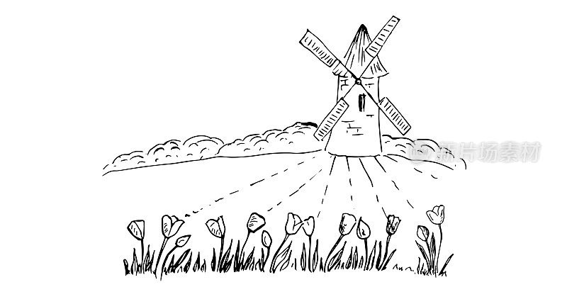 田野里的郁金香。风车。矢量插图。手绘草图。