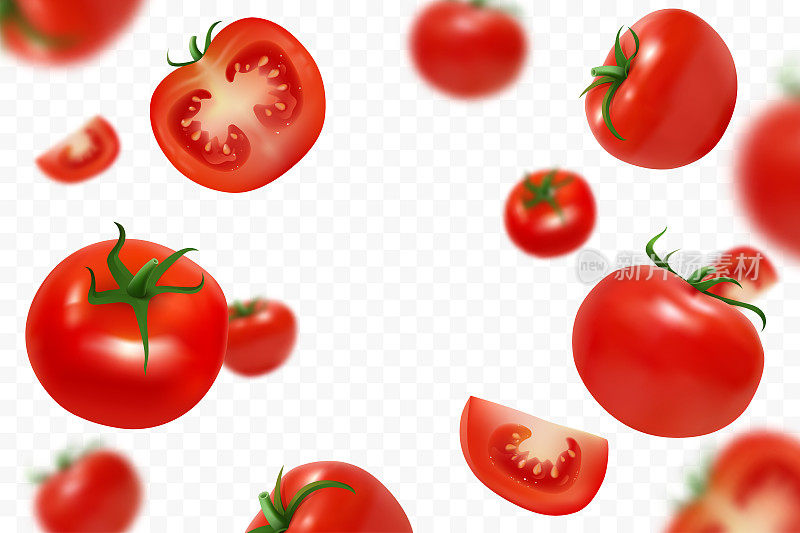 掉落的新鲜成熟的西红柿孤立在透明的背景。飞散焦红番茄。特写镜头多汁的蔬菜。适用于番茄酱、果汁广告。矢量插图。