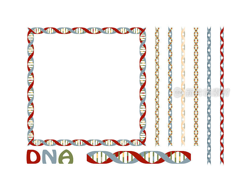 背景材料DNA基因设计插图，一组直线和框架。向量