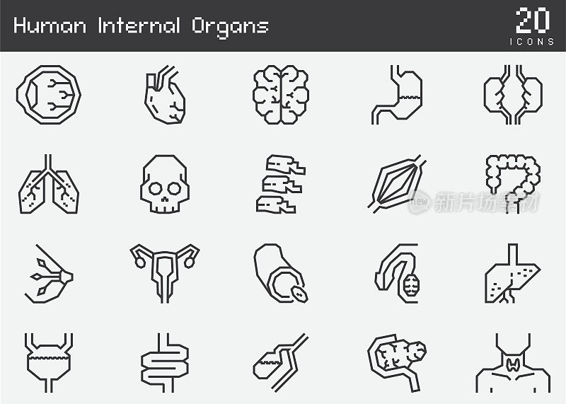 人体内脏、肺、心、胃、骨、脑、肾、颅骨等解剖部位线条图标