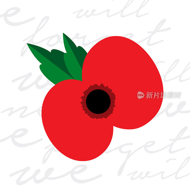 荣军纪念日。罂粟的吸引力。在新西兰，澳大利亚，加拿大和英国，为阵亡将士纪念日，阵亡将士纪念日，澳新军团日的鲜花。