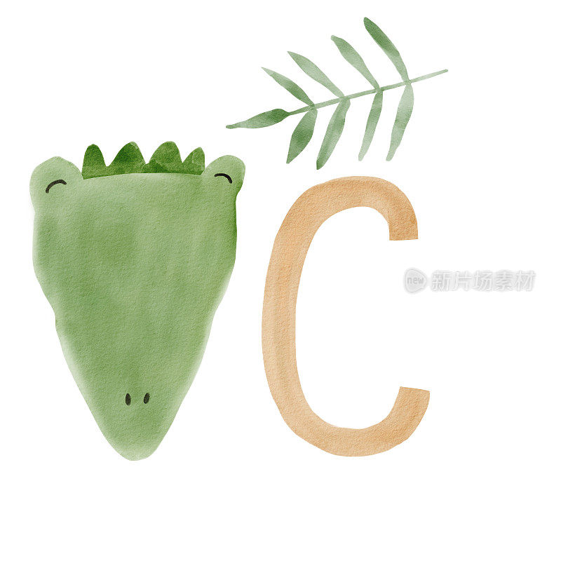 字母c。鳄鱼游猎水彩字母。非洲ABC丛林珍奇动物苗圃信。手绘插图孤立的白色背景。
