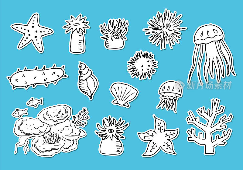 插图集的海洋生物