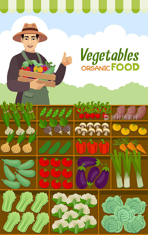 戴着帽子的农民或园丁拿着一个装满新鲜蔬菜的木箱。有机食品。