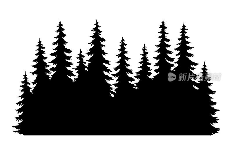 冷杉树的剪影。针叶云杉水平背景图案，黑色常绿木材矢量插图。美丽的手绘全景与树梢森林。黑松木