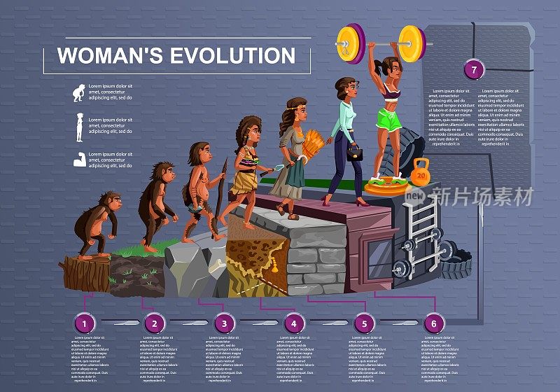 女人进化时间线矢量卡通