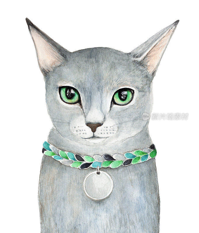 俄罗斯蓝家灰猫画像。明亮的翠绿色眼睛。项链与空白银奖章护身符。看相机。