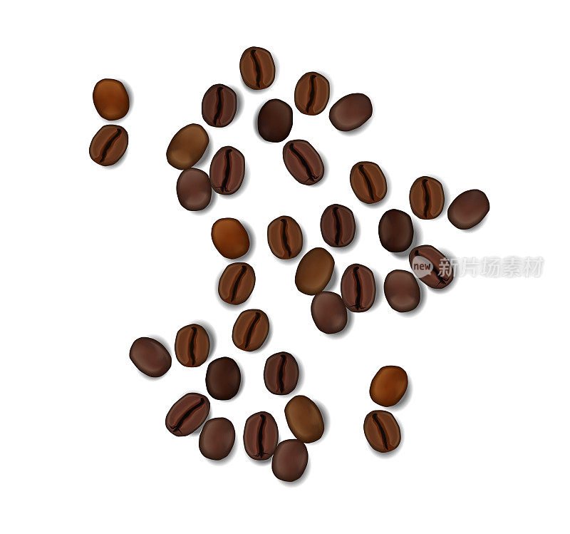 矢量现实的咖啡豆在白色的背景。