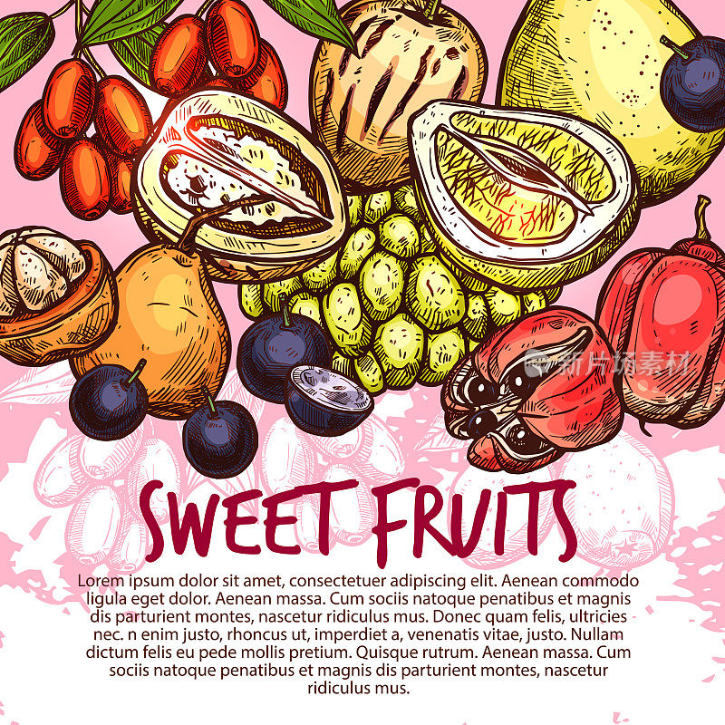 异国水果或甜热带浆果素描海报