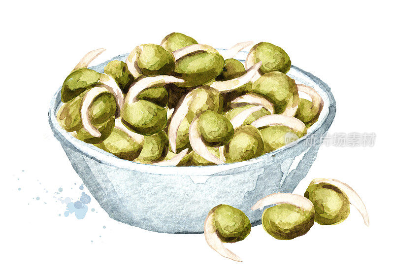 发芽的绿豆。手绘水彩插图，孤立的白色背景