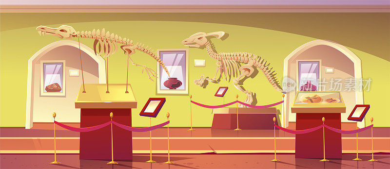历史博物馆的恐龙骨骼文物