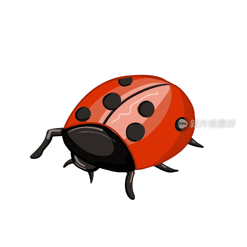 可爱的卡通瓢虫。带有黑点的红色昆虫