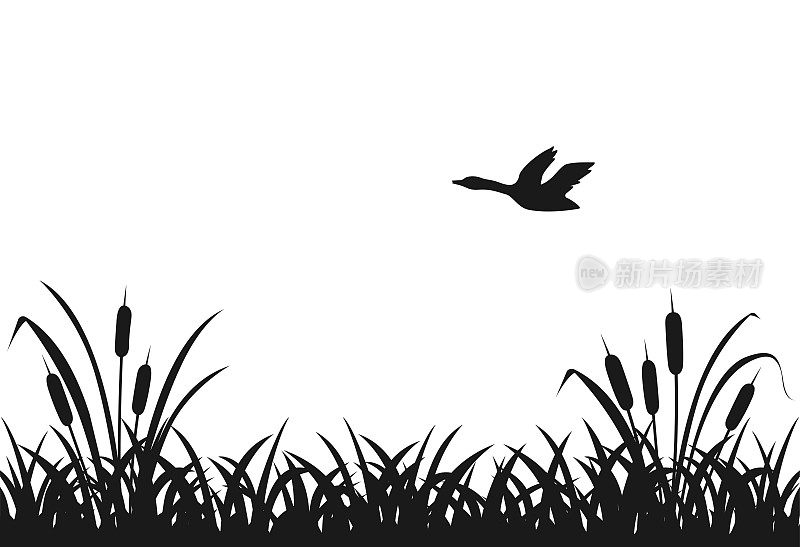 黑色的剪影沼泽草，飞鸭，湖芦苇，无缝草。在白色背景上的黑色灌木条纹的矢量插图。