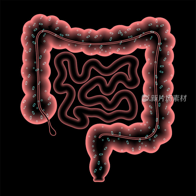 肠道微生物组的概念