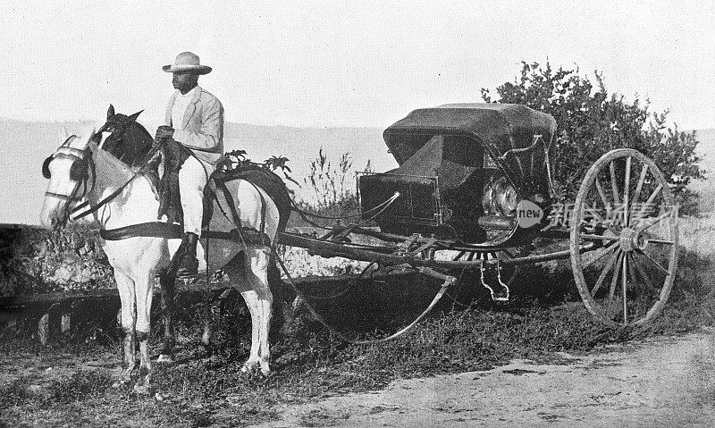 1898年，古巴的公共交通用马车
