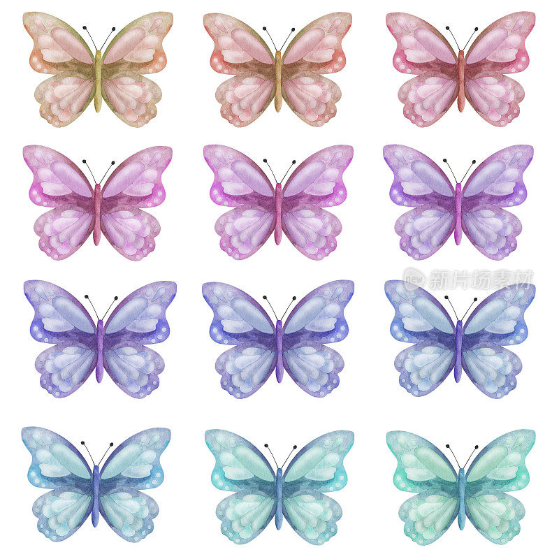 水彩插图的手绘套彩色蝴蝶与展开的翅膀。黑脉金斑蝶。飞蛾