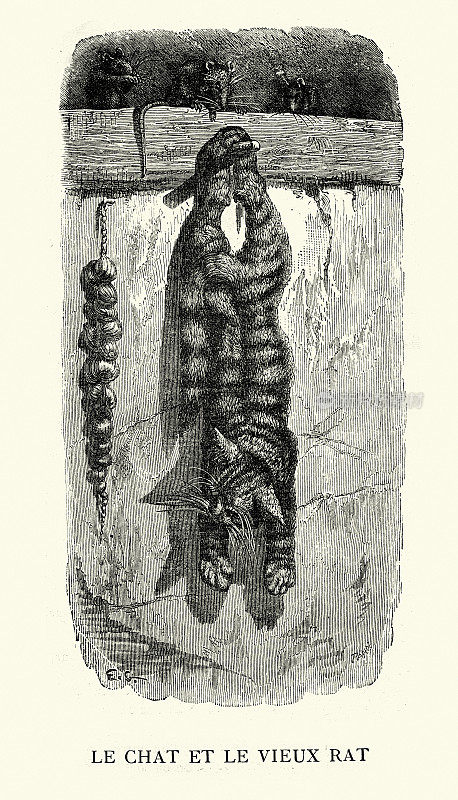 《猫和老老鼠》，《伊索寓言》，19世纪