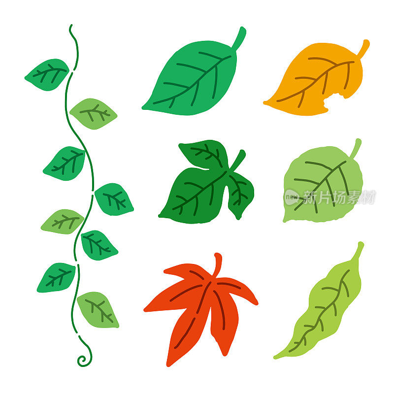 手绘矢量插图的各种树叶