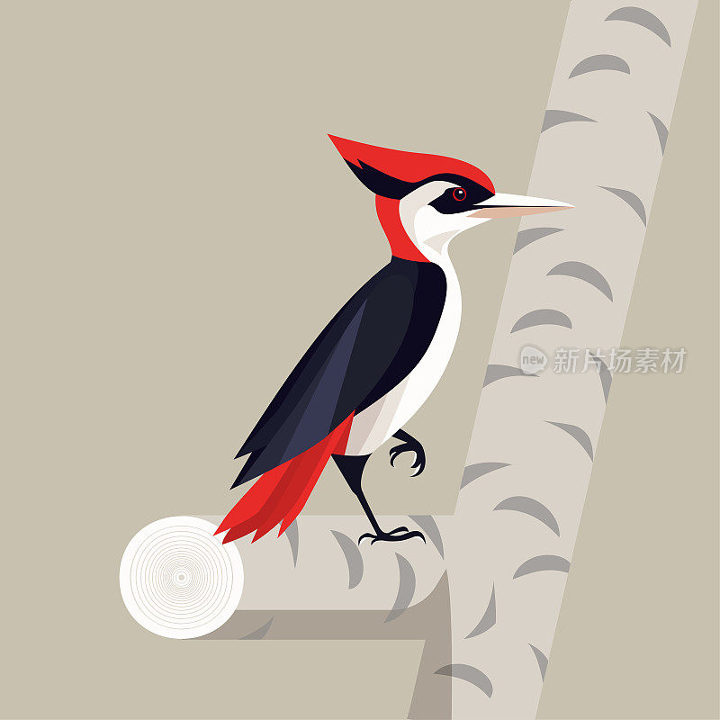 一只红头啄木鸟站在树枝上，具有极简主义的矢量风格。