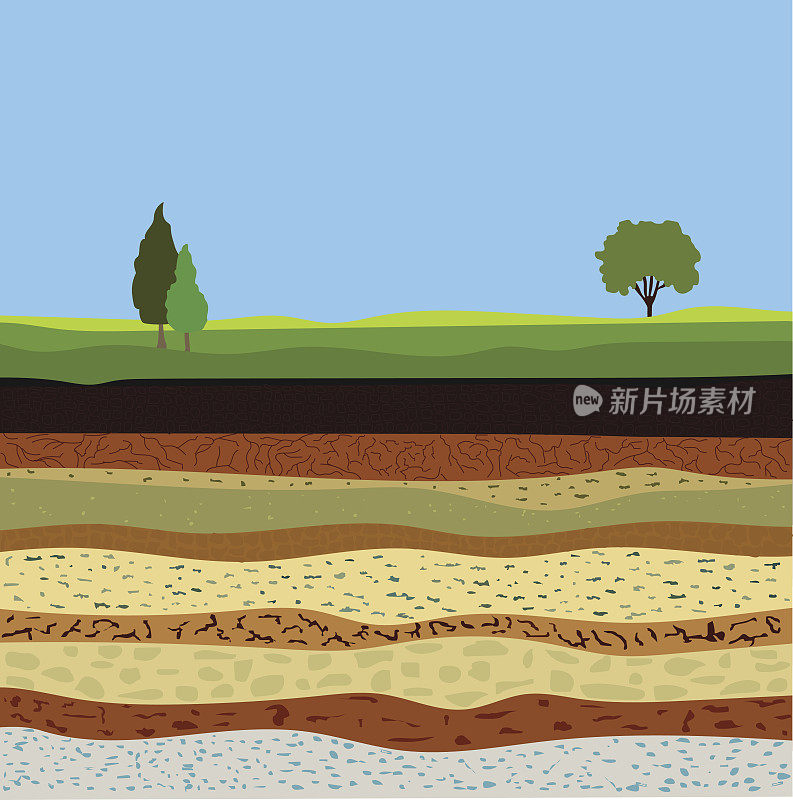 土壤形成与土壤层