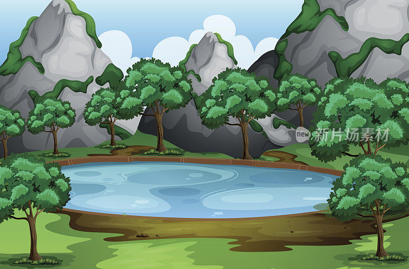 池塘周围有树木的森林景象