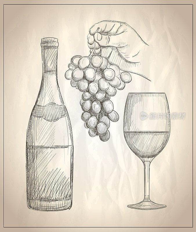 男人手里拿着一串葡萄、一杯红酒和一瓶红酒的插画