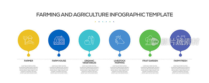 农业和农业相关过程信息图表模板。过程时间图。带有线性图标的工作流布局