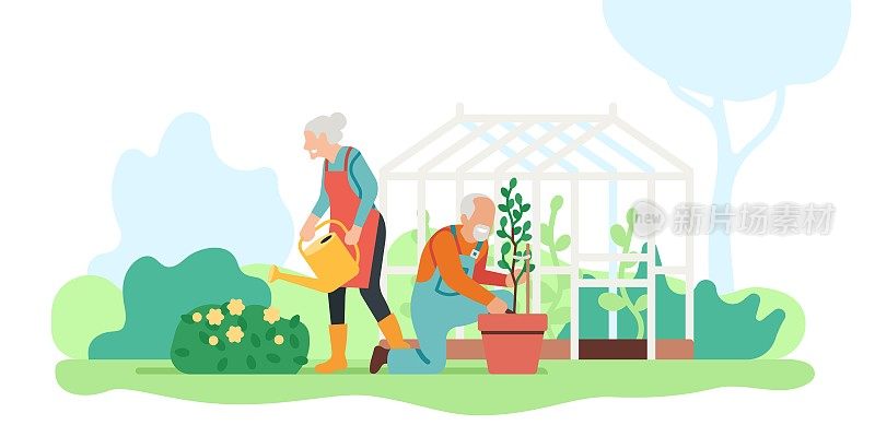 高级家庭的爱好。老年人从事园艺工作。爷爷奶奶在院子里种花、浇花。夫妇照顾花朵。人们在花园和温室工作。向量的概念