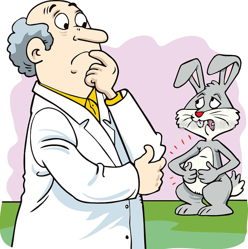 兽医和兔子检查