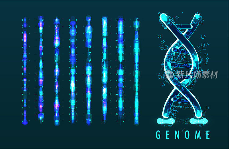 大基因组数据可视化。