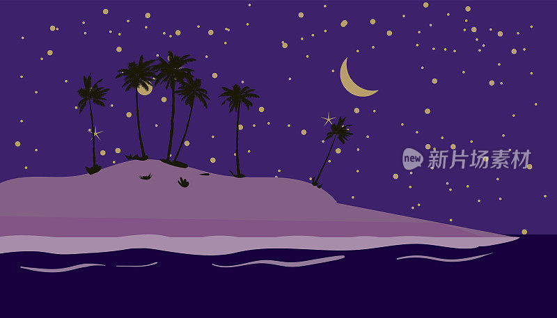 热带海滨夜景，海岸，棕榈树，月光。夏日异域风光观，剪影