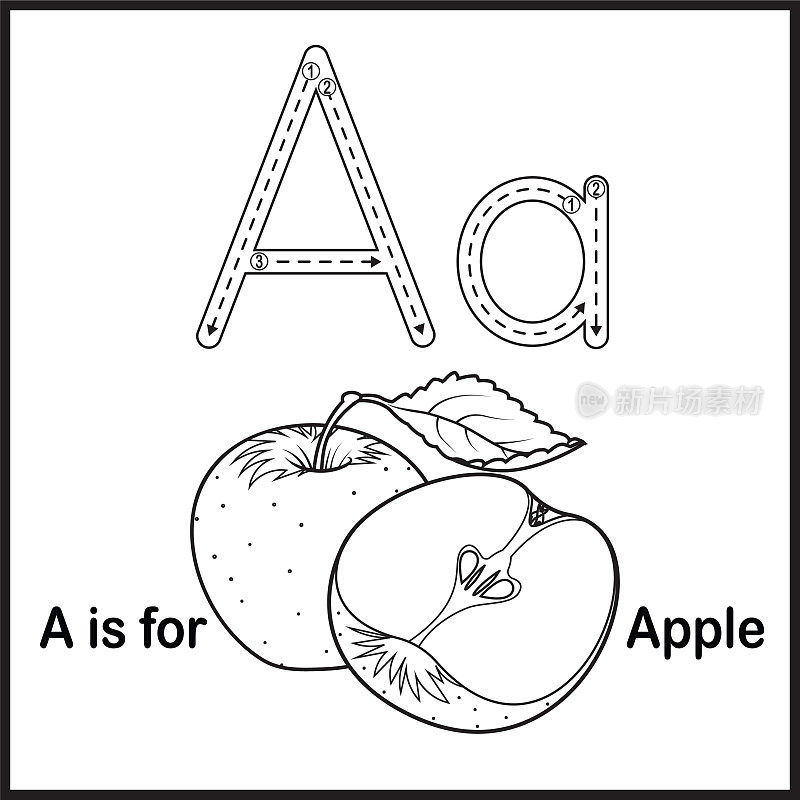 抽认卡字母A代表苹果矢量插图