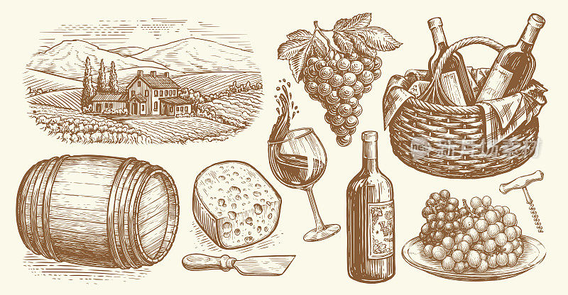 葡萄园，木桶，玻璃和酒瓶，葡萄串，开瓶器，一块奶酪的古董草图。酒庄集