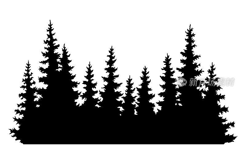 冷杉的剪影。针叶云杉水平背景图案，黑色常绿木材矢量插图。美丽的手绘全景树顶森林。黑松木