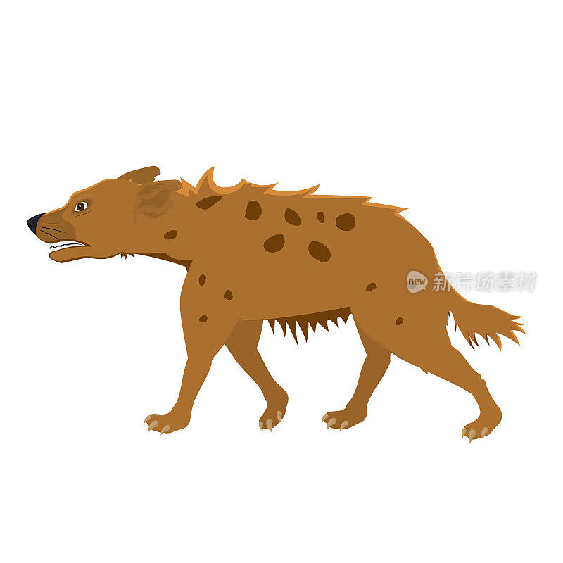 鬣狗。动物鬣狗