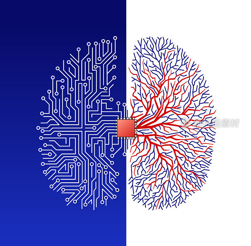 人脑的方案用电路板和芯片作为大脑解剖隔离在白色